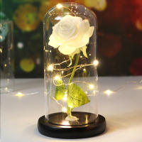 Rosa De Boda Con LED Galaxia Enchanted Con Luz En Domos Regalo De San Valentín Navidad Día De La Madre Belleza Y La Bestia Para Interior - details 29