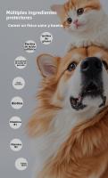 Suplemento nutricional multivitamínico 8 en 1 con condroitina para perros, en gránulos blandos multifuncionales（Forma de corazón, 2.5g por gránulo, 120 gránulos por botella） - details 0