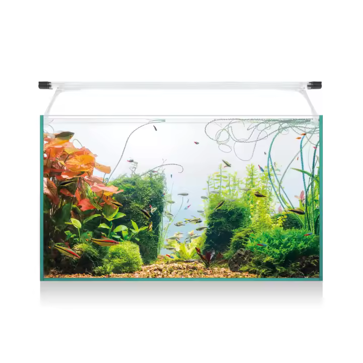 Kit AQUA LIGHT Glass 60 (52 l) Acuario 32 x 30.7 x 59.7 cm Kit de Acuario con Filtro Interior, Tira Led, Alimento y más Accesorios para Acuario - 1