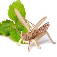 Puzzle 3D De Madera Con Insectos Multitudinario Juguete Educativo Avanzado Para Niños Modelo De Artesanía Creativa - details 3