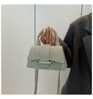 Nueva Mini Bolso De Mano Para Mujer 2025 Color Sólido Estilo Moda Popular Bolso Cruzado Pequeño Para Todas Las Estaciones Material PU - details 13