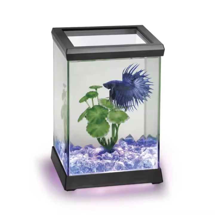Betta Space LED 4.95 L: Acuario con Iluminación LED para Peces Betta - CPA - 1
