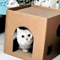 Juguete Para Gatos Caja De Cartón DIY Doble Con Plataforma De Rascado Y Cama Protege Muebles Juguete De Masticar Para Gatos - details 7