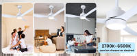 Aigostar Ventilador de Techo con Luz Silencioso 52″, Motor DC Reversible 40W, Mando a Distancia, 6 Velocidades, Luz Regulable (2700K-6500K), Ideal para Dormitorio, Sala o Cocina. Ø132 cm - details 6