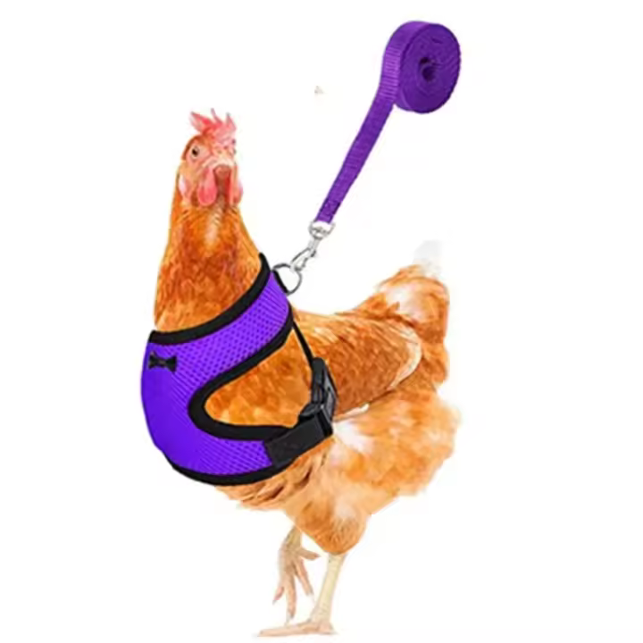 Harnés Ajustable Para Perros Pequeños Y Pollos Con Correa Cómodo Transpirable Chaleco Para Entrenamiento De Mascotas Como Pato Ganso Y Pollo - 1