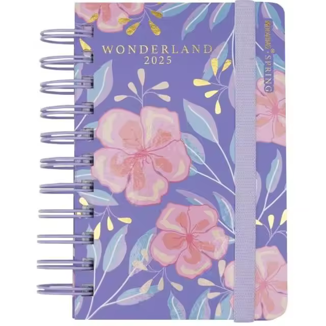 MOOVING AGENDAS AGENDA ANUAL 2025 10X15 DP SPRING - 1