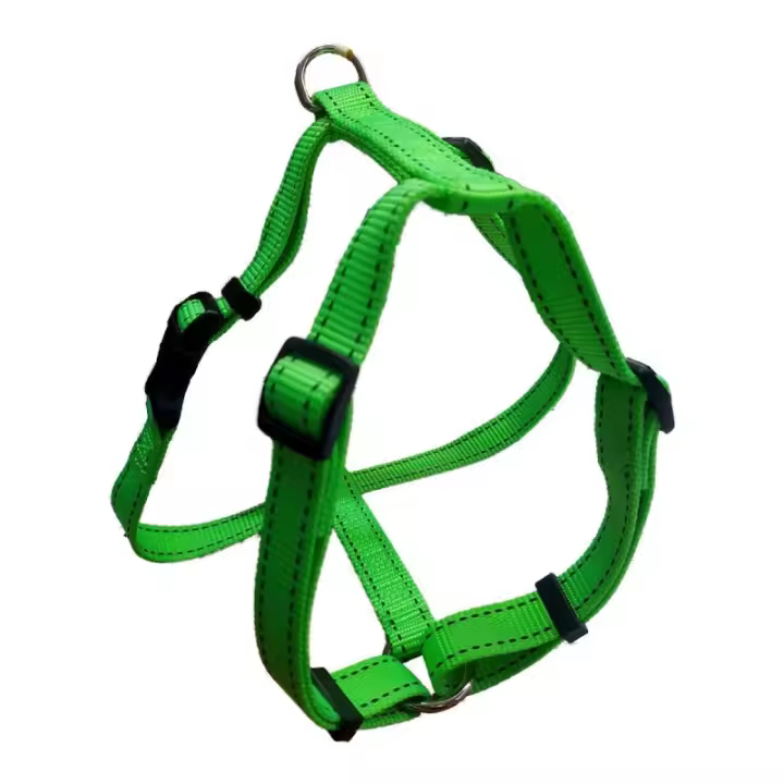 San Dimas - ARNES NEON 20x500mm VERDE - 1