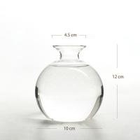 Vaso De Comino Para Cultivo De Semillas Kit De Plantación Con Pegatinas Regalo Para Amantes Del Jardín Material De Vidrio Transparente - details 9