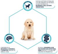 Advance Puppy Snack - Galletas para Cachorros con Omega 3 E Inulina para un Sistema Inmunitario Saludable - details 0