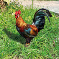 Estatua De Gallo Para Jardín Pato Figura De Pollo Decorativa Al Aire Libre Resistente Al Clima Para Patio Jardín Hogar - details 1