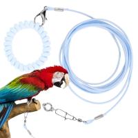 Correa De Entrenamiento Para Pájaros Parrot Con Cadena Antipatada Tamaño 6 Pies Material Resistente Para Exteriores Suministros Para Pájaros - details 5