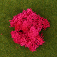 1Pc Moss Artificial De Colores Naturales Para Decoración De Joyería Jardín Y Epoxy Resina Decorativa Para Mesa - details 8