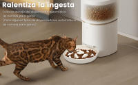 PETTOM Comedero Antivoracidad para Gatos Perros Pequeños, Cuenco Tazon Platos Interactivo con Fondo Antideslizante para Comida Lenta Gato Mascotas Perro Pequeño 16x16 cm - details 7