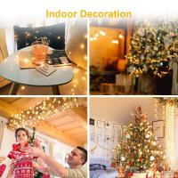 Cadenas De Luces LED 10pcs Pequeñas Y Coloridas Con Pilas Incluidas Para Decoración De Navidad Exterior Y Festivales En Habitaciones - details 2