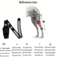 Protector De Rodilla Para Perro Recuperación De Lesiones Soporte Fijo Para Articulaciones Alivio Del Dolor Cubierta Para Pies Envoltura De Apoyo Para Piernas Accesorio Para Mascotas - details 8