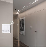 Tira De LED WS2811 10m/Roll Con 120 LEDs/M 24V DC Flujo De Agua Corriente Luz Flexible Pixel Direccional Para Jardín - details 6