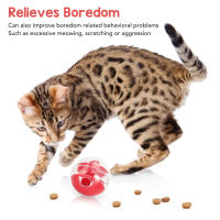 Bola De Juguete Para Gatos Con Dispensador De Alimentos Resistente Mordida Juego Interactivo Lento Alimentador Para Gato Joven - details 2