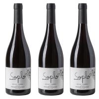 Nuevos Vinos - PACK 3 BOTELLAS Rafael Cambra Soplo Vino Tinto de Valencia 100% Garnacha - details 0