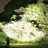 Linterna Frontal LED Potente 200000LM Torcha De Pesca Con Luz De Advertencia Lámpara De Cabeza De Longitud De Rayo Para Aventuras Al Aire Libre - details 15