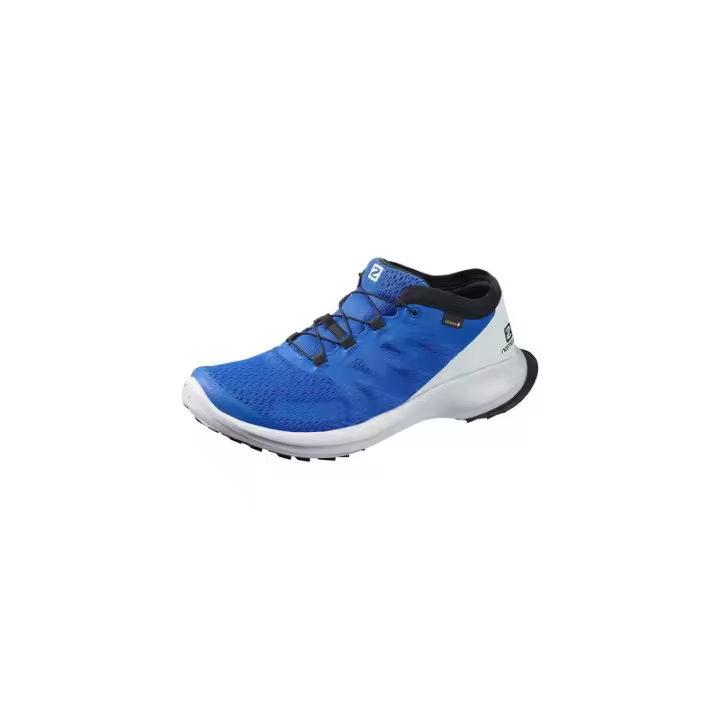 Zapatillas de Montaña Hombre Salomon Sense Flow GTX Color Azul-409671-31-W0 Salomon - 1