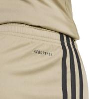 Pantalón Entreno Corto Men Adidas Squa25 V25 Marron Adpomv2503Ad - details 1