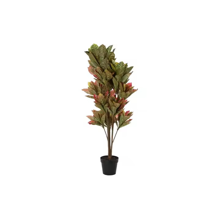 Planta Pe 50X50X140 Croton Verde El mejor complemento para tu hogar  -Fijalo- - 1