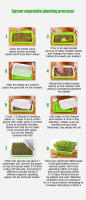 Bandeja De Germinación Para Semillas Doble Capa Arco Sin Suelo Sistema De Cultivo Hidroponía Macetas Para Plantas Accesorios De Jardinería - details 9