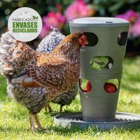 FINCA CASAREJO - Comedero Divertido para Gallinas - Alimentación Interactiva - details 1