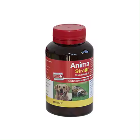 ANIMA STRATH 240 COMP Stangest - 1