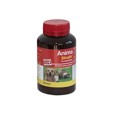 ANIMA STRATH 240 COMP Stangest - 1