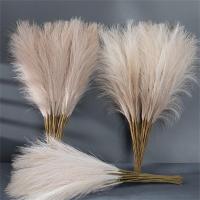 Pack De 10 Pampas Artificiales Imitación De Caña De Paja Para Decoración De Hogar Y Eventos - details 2
