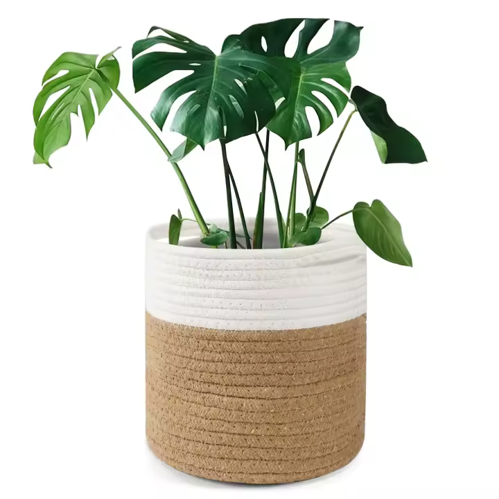 Maceta de 20 cm with Forro, cesta de almacenamiento Tejida de Algodón para plantas de Interior, maceta y decoración del Hogar (20 cm x 20 cm) - 1