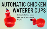 Bol De Agua Automático Para Pollos Gansos Pato Cerdas De Plástico Fácil De Instalar Adecuado Para Cría De Ponedoras - details 2