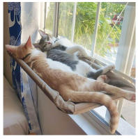 Sillón De Ventana Para Gatos Con Hamaca Colgante Y Marco De Escalada Cómodo Resistente a 20Kg Accesorios Para Mascotas - details 1