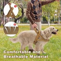 Arnés para Perros Reflectante Sin Neumáticos - details 3