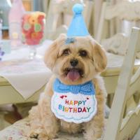 Conjunto De 2 Bandanas Y Sombrero De Cumpleaños Para Gatos Y Perros Ropa De Cumpleaños Para Mascotas Accesorios Para Fiesta De Mascotas - details 5