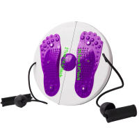 Equipo De Fitness Portátil Para Masaje De Cintura Y Rodillas Disco De Torcimiento Magnético Máquina De Ejercicio Abdominal Y Cintura - details 9