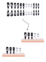Juego De 24 Uñas Postizas En Forma De Almendra Estilo Punk Con Patrón De Murciélagos Blanco Y Negro Para Halloween - details 4