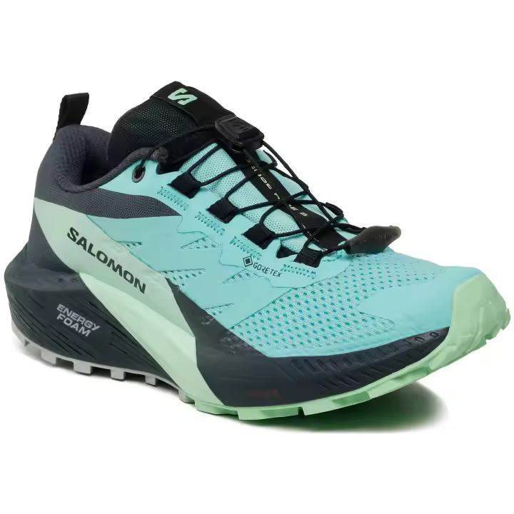 Calzado Salomon modelo Shoes Sense Ride 5 Gtx W Blra/Greash/Ind - 1