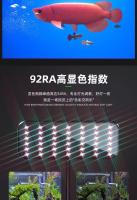 Luz LED Para Acuario 220V Espectro Completo Alta Brillo Para Plantas Y Algas En Tanque De Peces Clip-ON Impermeable 24/42 LEDs 8/13W - details 3