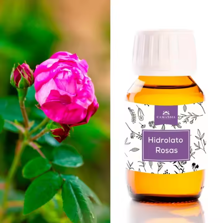 Camassia Agua de Rosas (Hidrolato de Rosas) | Hidratación Natural - 1