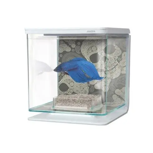 Kits Betta 2 litros MARINA MARINA - 1