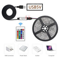 Tiras LED Recargables USB RGB 5V 5M 10M 15M Para Decoración De Habitaciones Y TV Juego Luz De Ambiente Navidad No Aquecidas SMD5050 Epistar - details 9