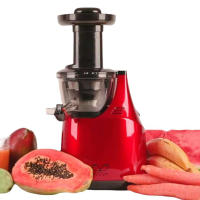 Licuadora GM Slow Juicer Extractora de Zumo Acero Inoxidable 150W - Conserva Nutrientes y Vitaminas - details 0
