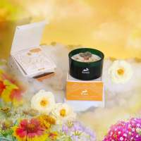 Viva Esencia – Vela aromática con flores secas y gema citrino para coraje, confianza y liderazgo, ideal para rituales energéticos y decoración espiritual – Hop Hare - Ancient Wisdom - details 3