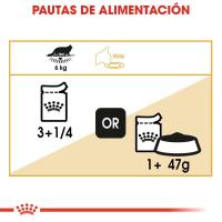 Precio Especial por Caducidad 09/05/2025-Royal Canin Gato Maine Coon Sobre Húmedo 10X85g - details 3