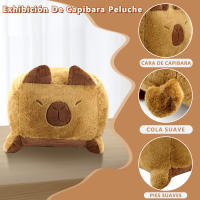 Easyspeed Peluche Capibara, Forma Cojín Cuadrado 45x45 CM Peluche Capybara para Niños y Niñas Carpincho Kapibara Ideal Regalo - details 2