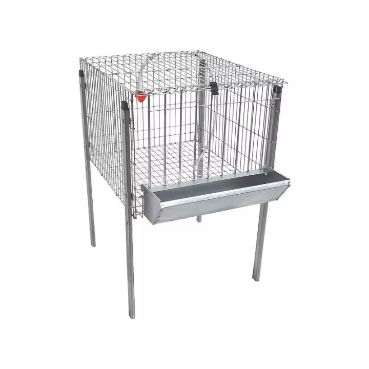 JAULA DE POLLOS POLY - 1 - 1