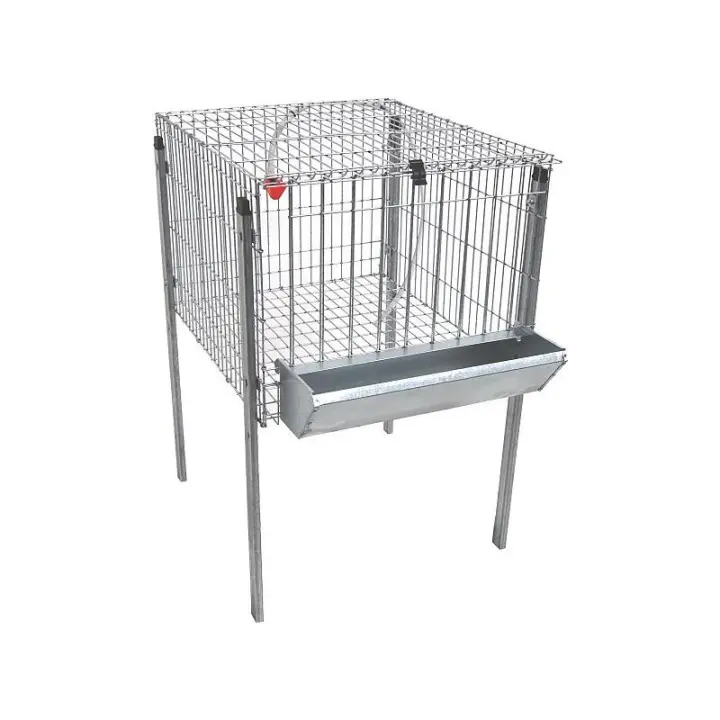 JAULA DE POLLOS POLY - 1 - 1