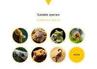 Tazón De Alimentación Para Reptiles Y Anfibios En Resina Contenedor De Alimentos Para Acuario Jaula De Tortuga Lagarto Rana - details 3